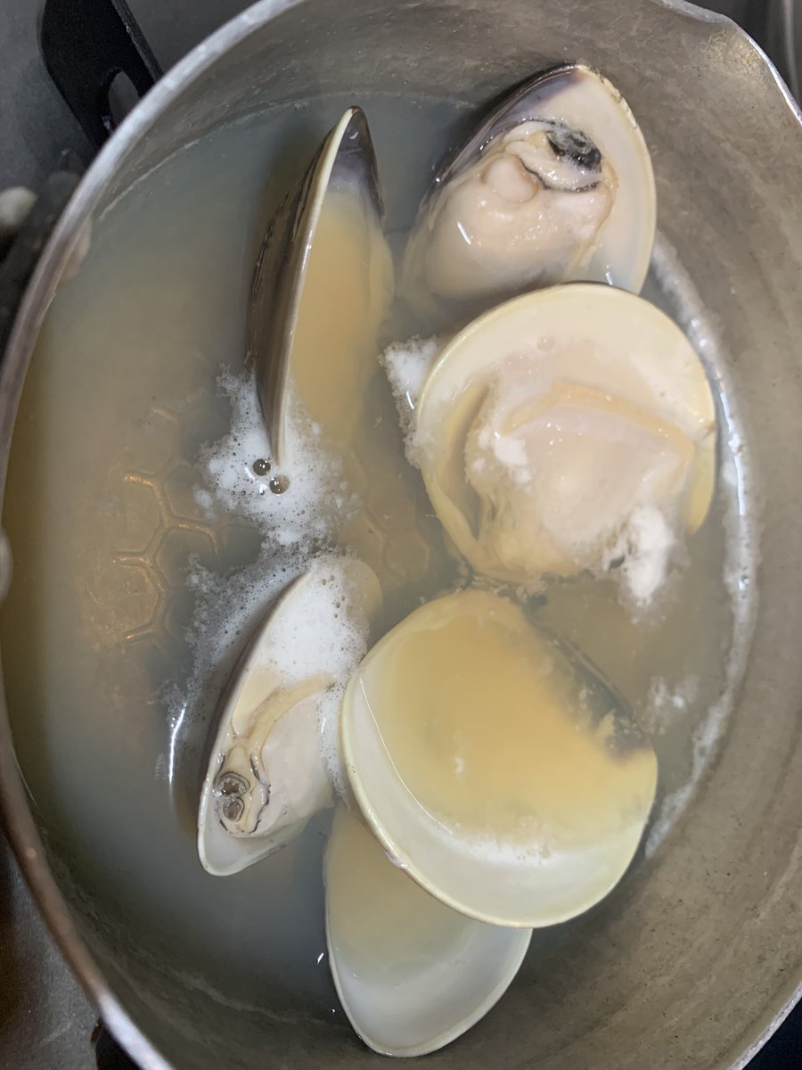 Raming0417's tweet photo. 日曜日に潮干狩りいってきて採れた貝で料理した。

カガミガイの炊き込みご飯
ハマグリのお吸い物
ハマグリの酒蒸し

あとはシジミの味噌汁も作った。 https://t.co/6jXhZjJm2O