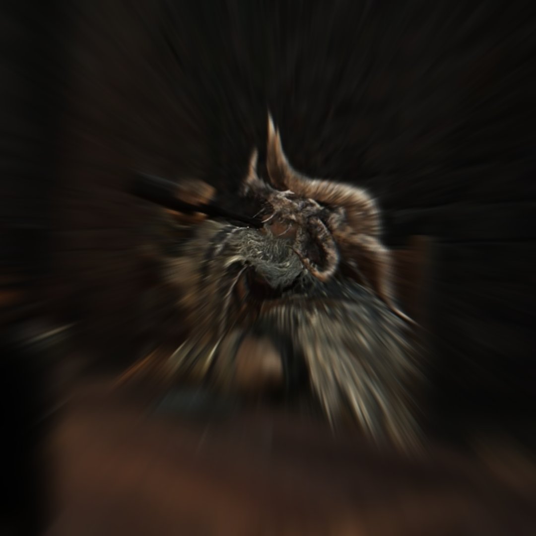 Hornybird tweet media