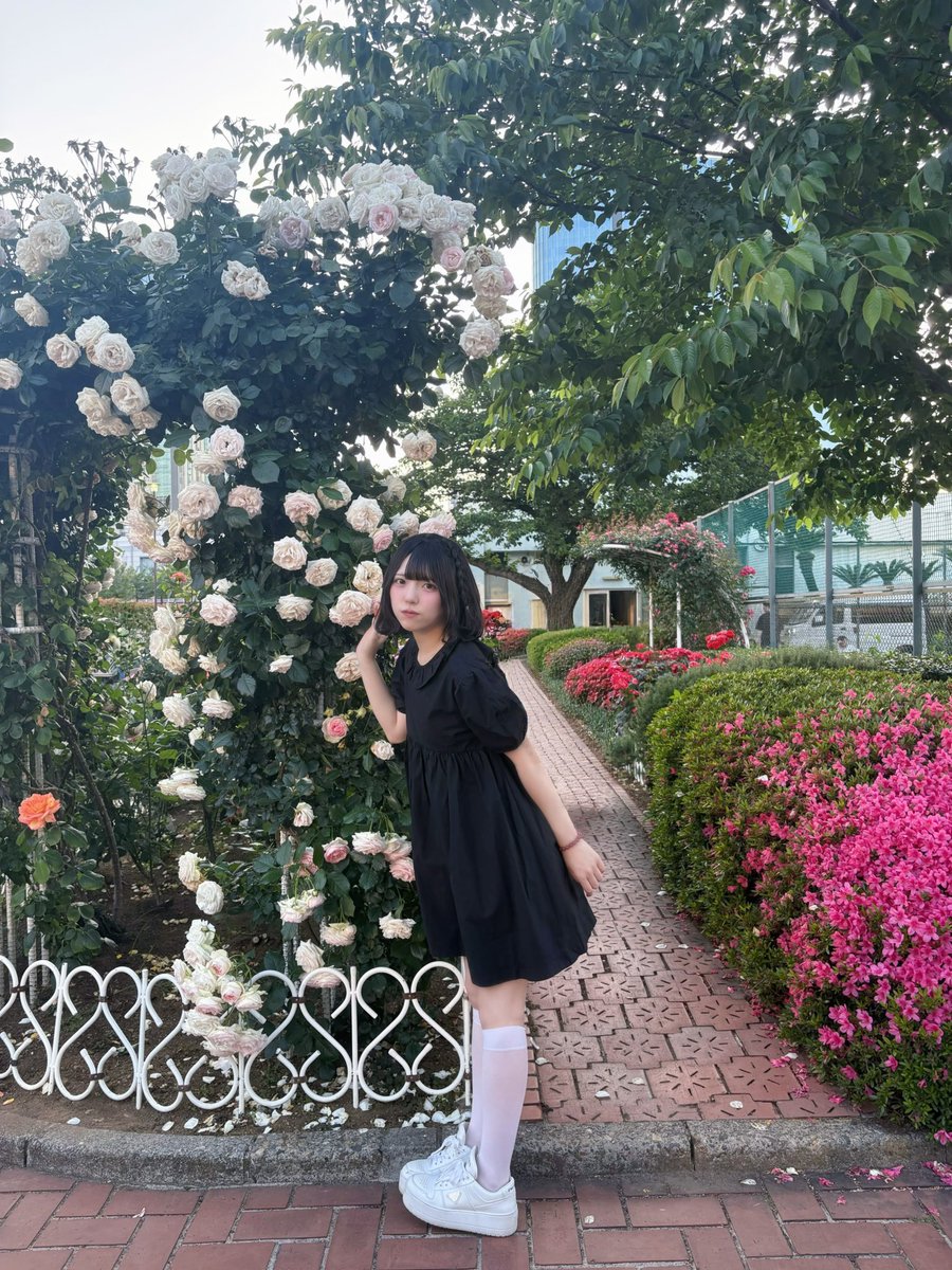 吉田 芽梨奈【マリークラウン】 tweet media