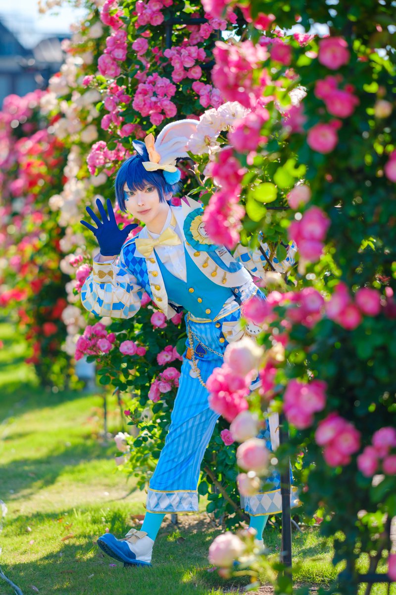 せな🦈 (@sena_cos_777) / Posts / X