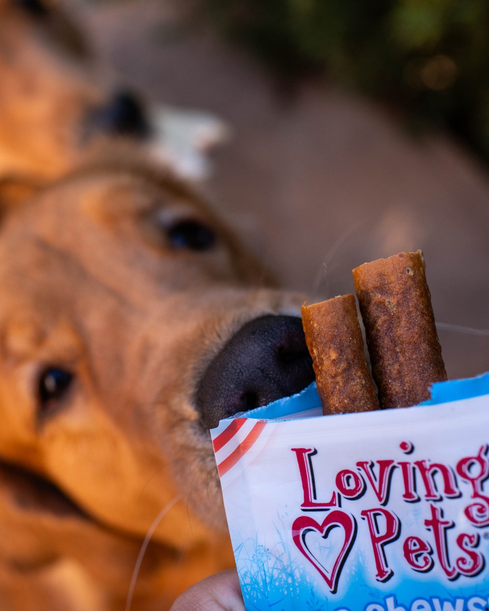 LovingPetsCorp's tweet photo. A proper chew routine = better behavior + cleaner teeth + anxiety relief. 🦴

Chewing is an essential part of your dog's day.

Shop our wide selection of chews today at https://t.co/s0Wpqnop16 https://t.co/ld2jYzhBnD