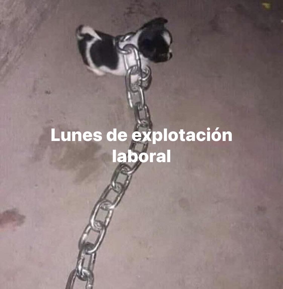 En Júpiter tweet media