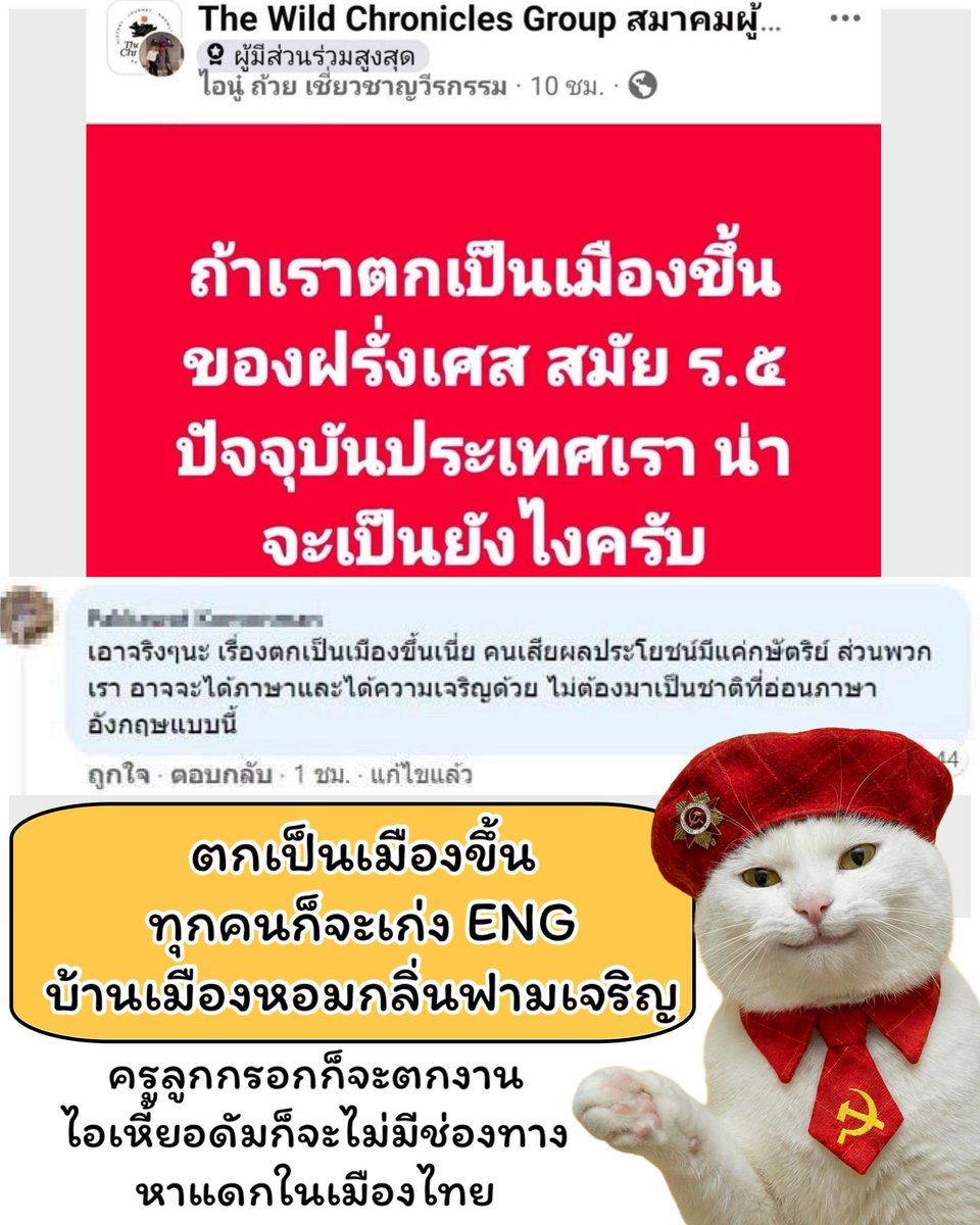 vnomenon 🇹🇭 tweet media