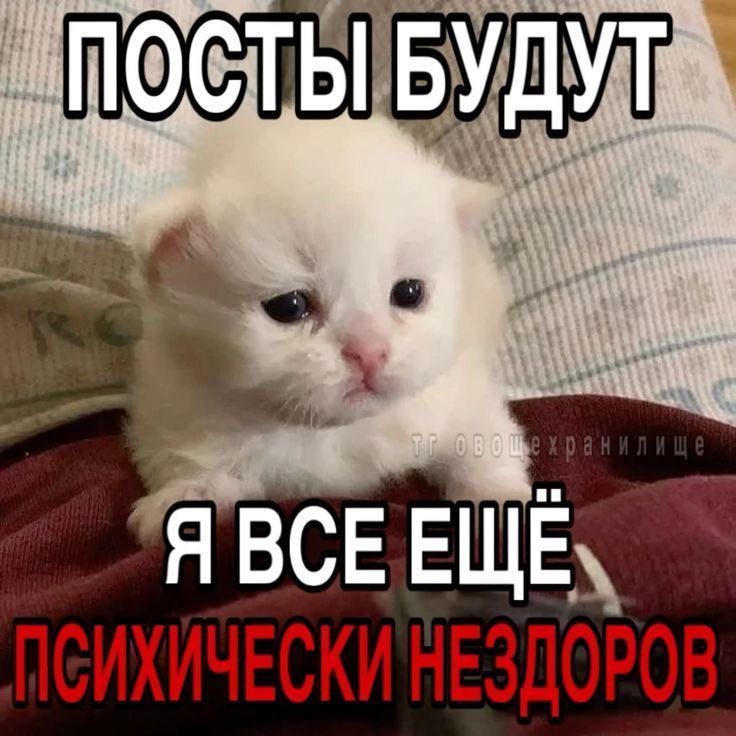 Сергей Разумовский tweet media