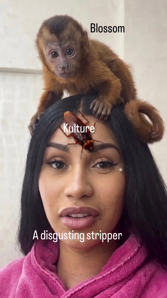 barbz for life tweet media