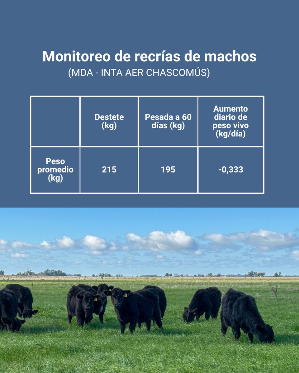 INTA Cuenca del Salado tweet media
