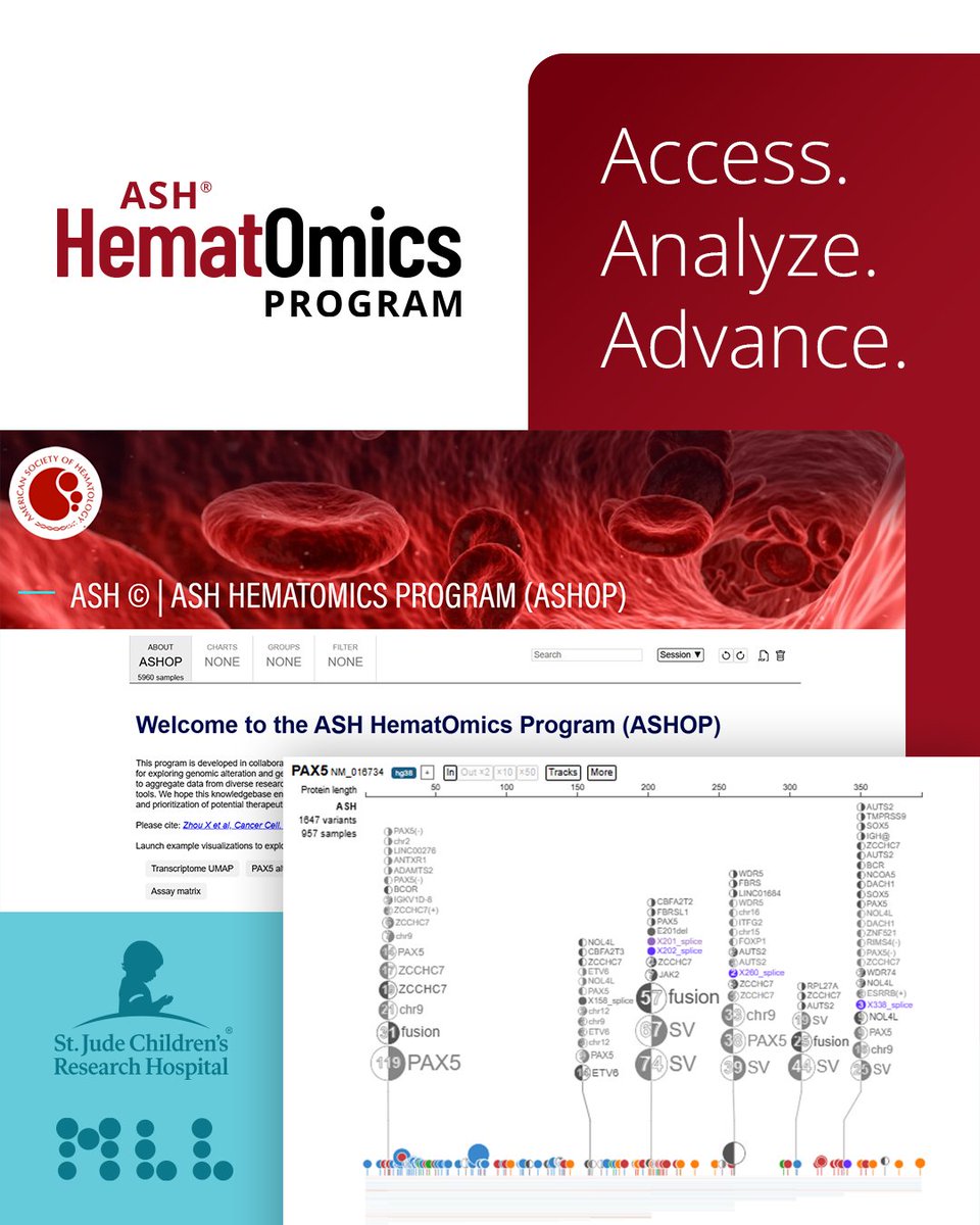 ASH_hematology's tweet photo. ASH HematOmics (ASHOP), built with St. Jude Children’s Research Hospital and the Munich Leukemia Laboratory, helps researchers explore genomic data across blood diseases. Explore ASHOP: https://t.co/5VcnRmJhaY https://t.co/5THNCMazvG