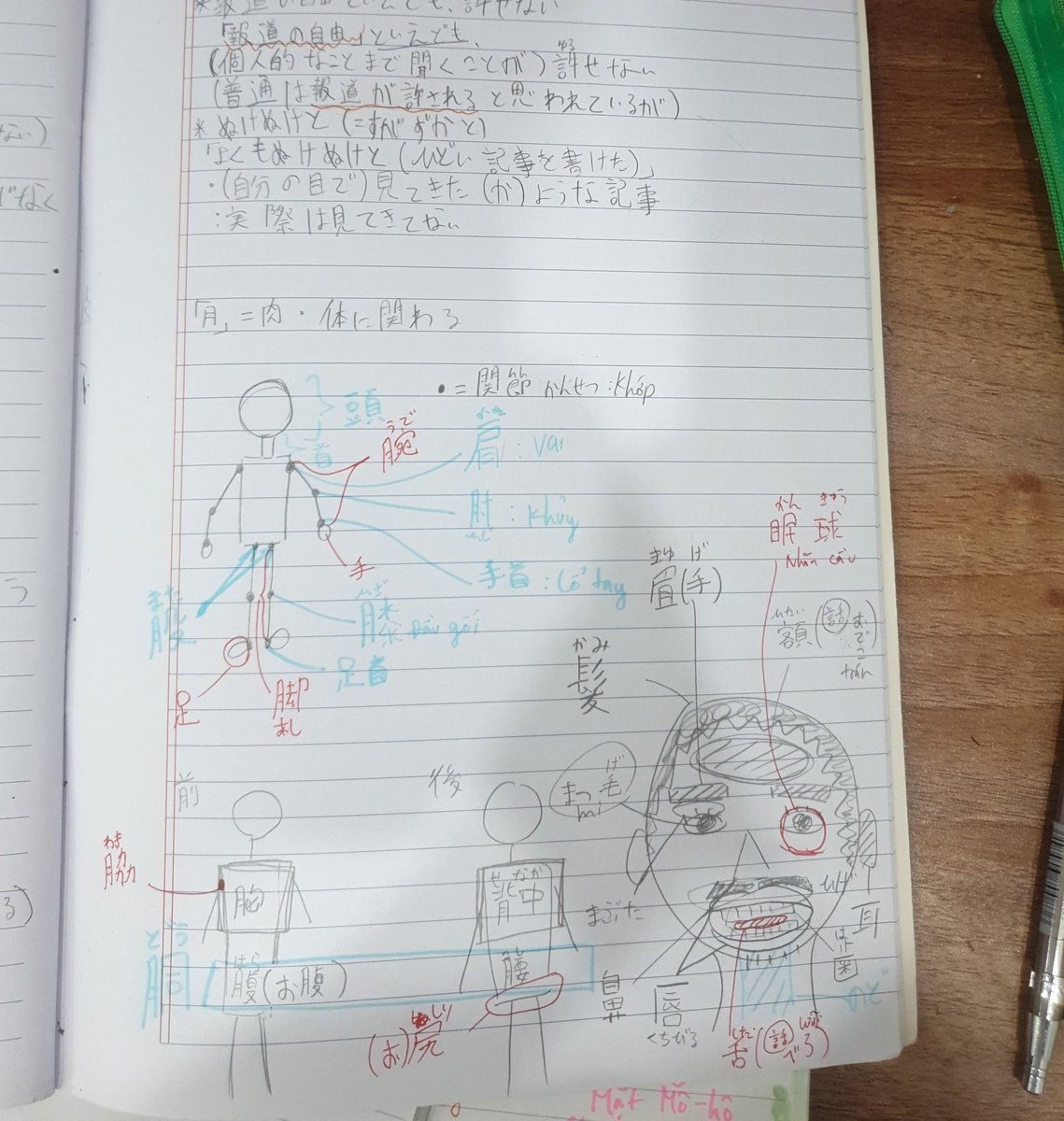 3Dotsq's tweet photo. ughhh... maintaining my streak is testing my sanity fr 😩😮‍💨
but look at what we learned in Japanese class today lmao. our teacher drew this and it’s sending me 💀 hidden talent fr.
#LangTwitter #StudyTwitter #LearnJapanese #doodle #日本語 https://t.co/dFUF5CK2us