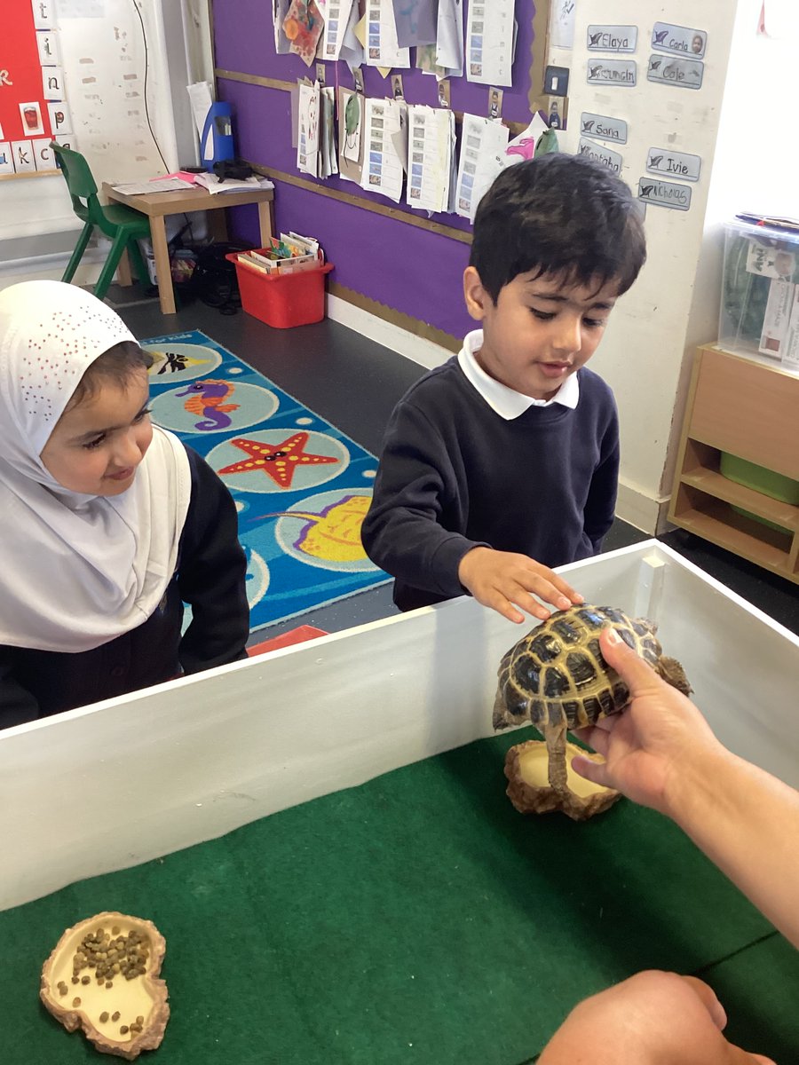 WexhamPS's tweet photo. Our Nursery children had a very exciting visitor this morning- Wexy the tortoise! 🐢

The children loved meeting him, learning about how he lives, and watching him explore. A wonderful hands-on experience that sparked lots of curiosity and smiles! https://t.co/mRZJN4uKpT