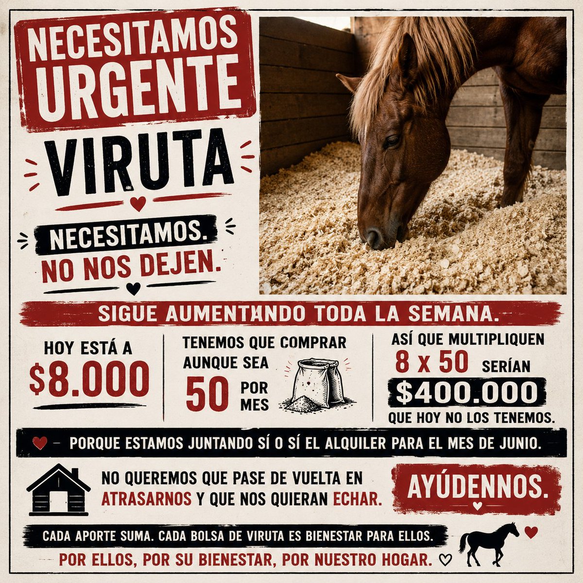 caballos.libres.del.sur tweet media