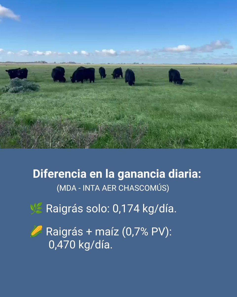 INTA Cuenca del Salado tweet media