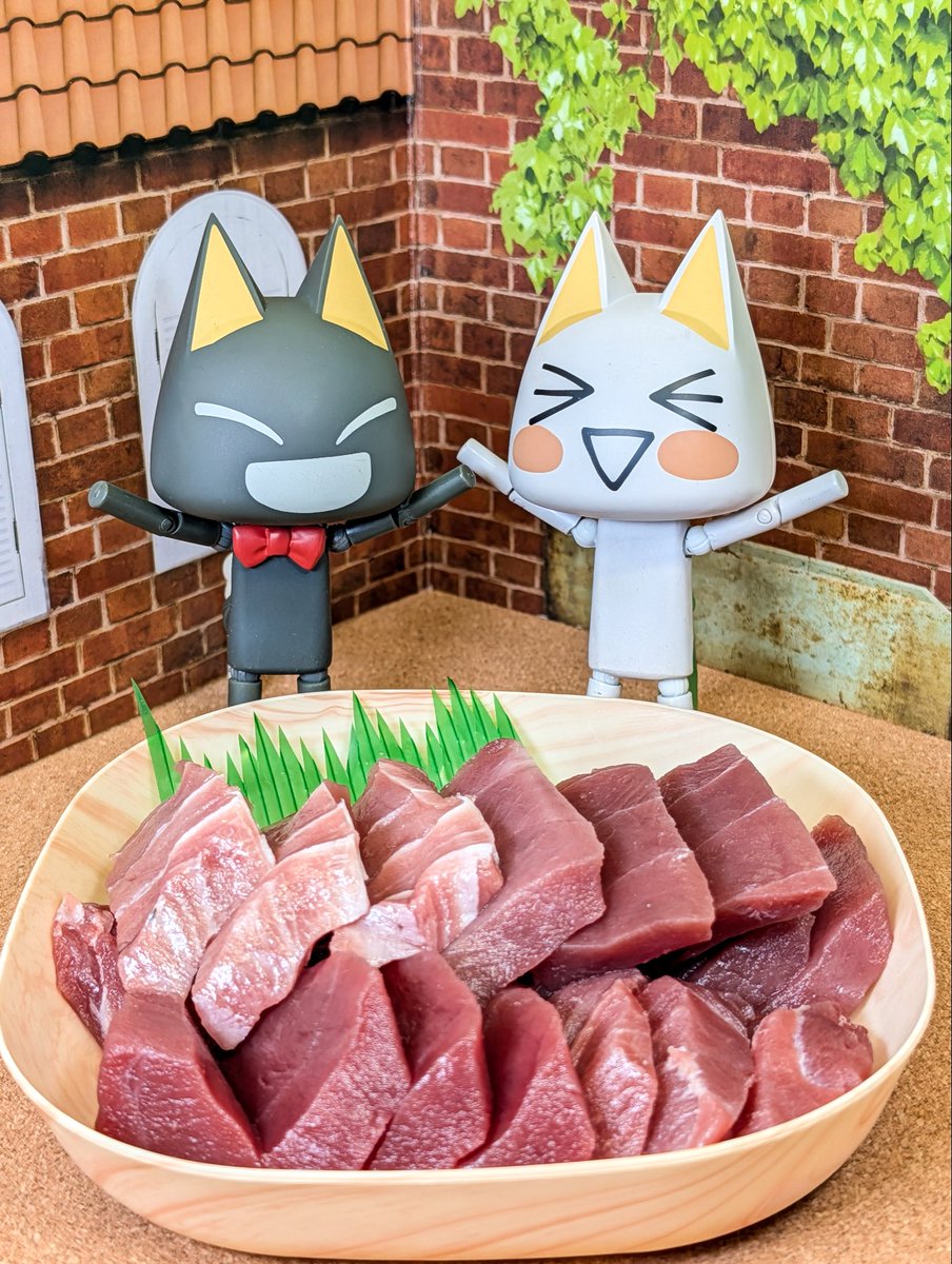 赤身 中とろ ねこたま トロ「やったー！今日はまぐろのおさしみニャー！」 クロ「近海産の本