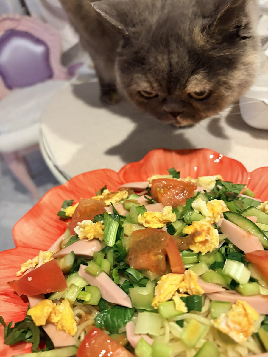 らんらんとリッリと tweet media