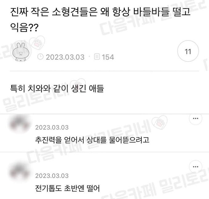 짜악 tweet media