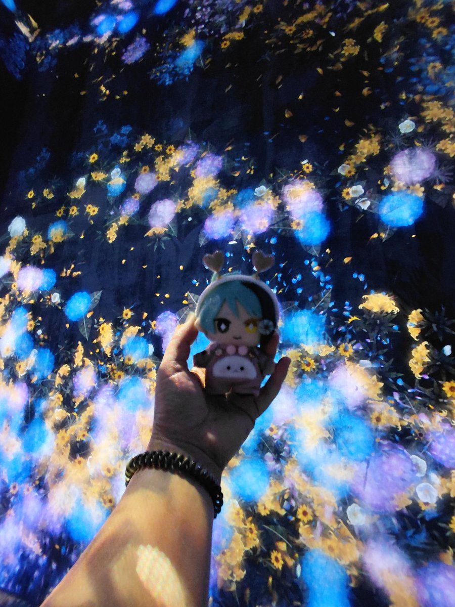 eRika@ぬい垢 tweet media