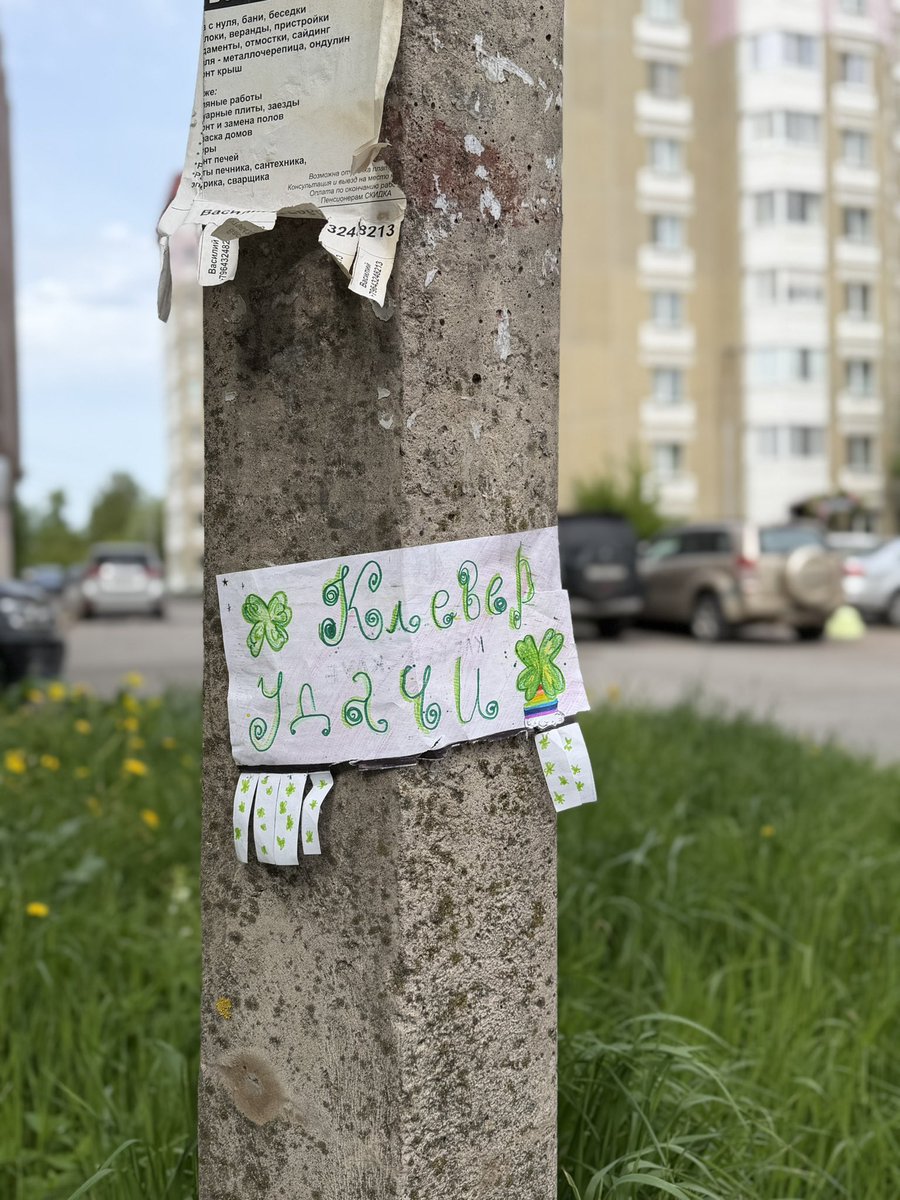 шмøсби 🌻 56 tweet media