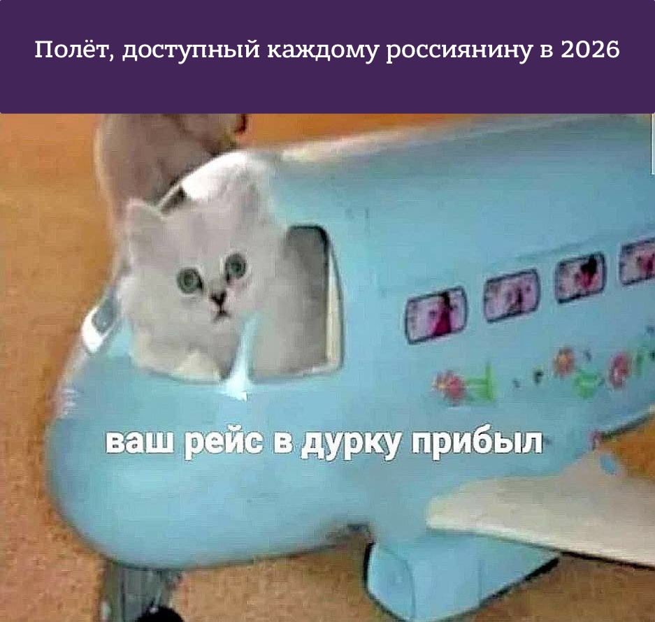 Лентач tweet media
