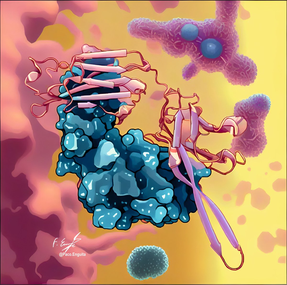 fenguita's tweet photo. Crystal structure of the HIV Apex neutralizing Fab Q12QBM-007 (PDB code: 9PZ2) #scivis #molecularart @dzine_ai @proteinimaging
https://t.co/dJCqBG0Lb7 https://t.co/bFndecZy4F