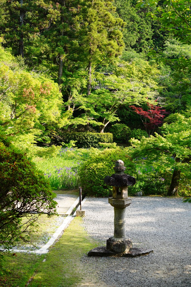 【公式】長岳寺《花と地獄絵の山寺》 tweet media