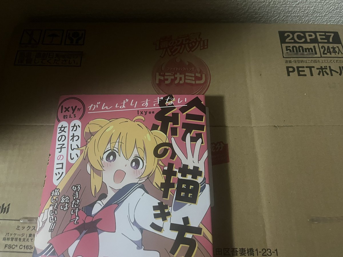 先日の誕生日に貼った干し芋からイラスト関係の本とドデカミン1ケース