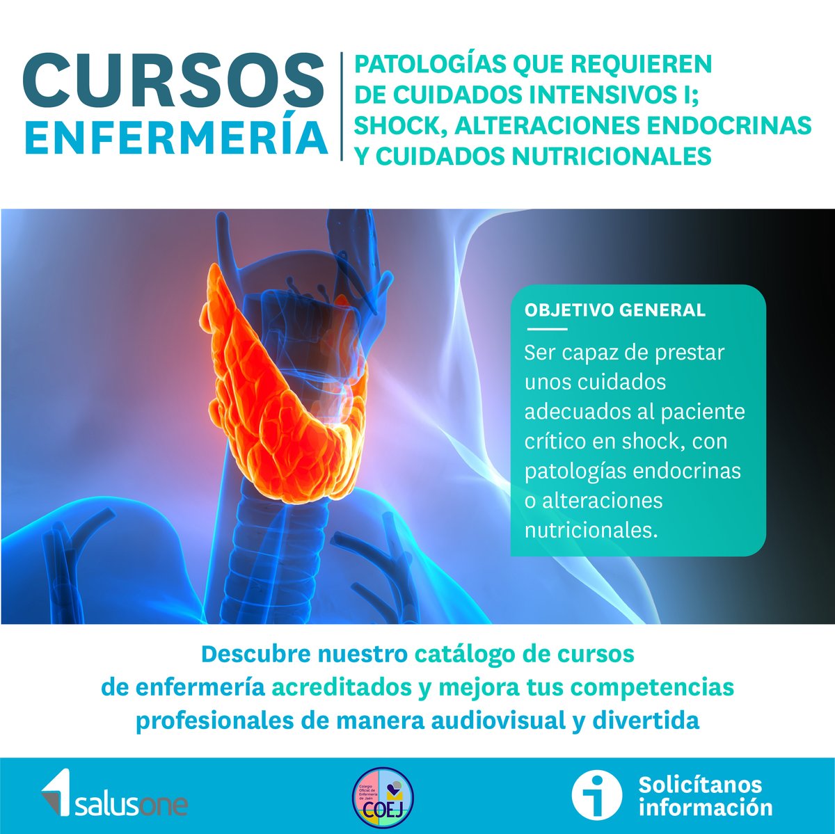 Colegio Enfermería tweet media