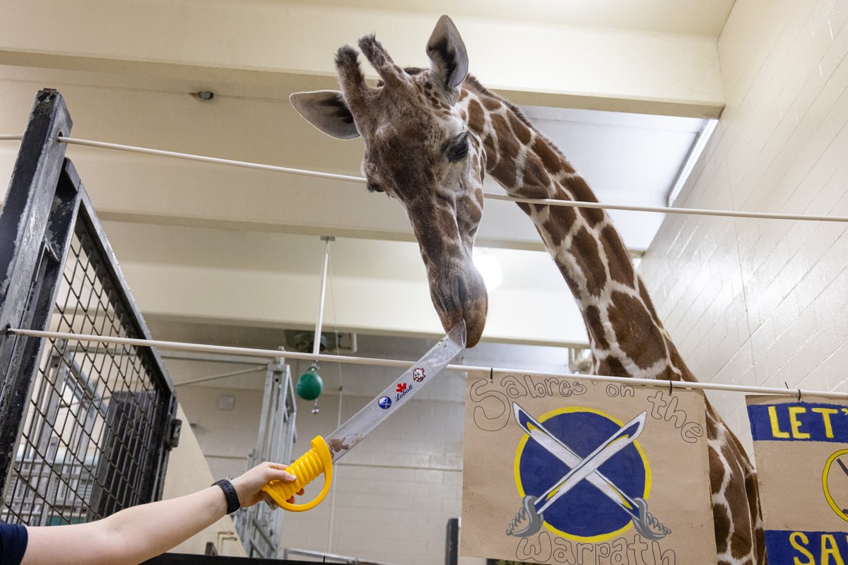 Buffalo Zoo tweet media