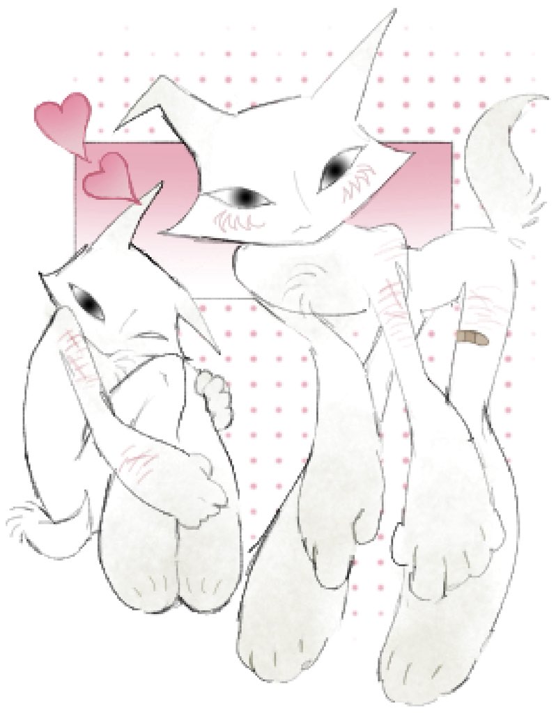 𓉸ྀི 𝖑𝖎𝖛 tweet media