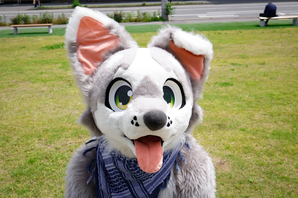 ザック🐶 tweet media