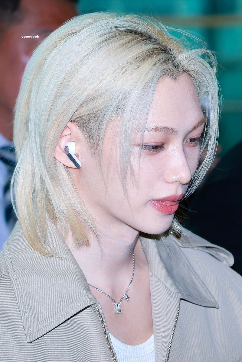 야옹뽁 tweet media