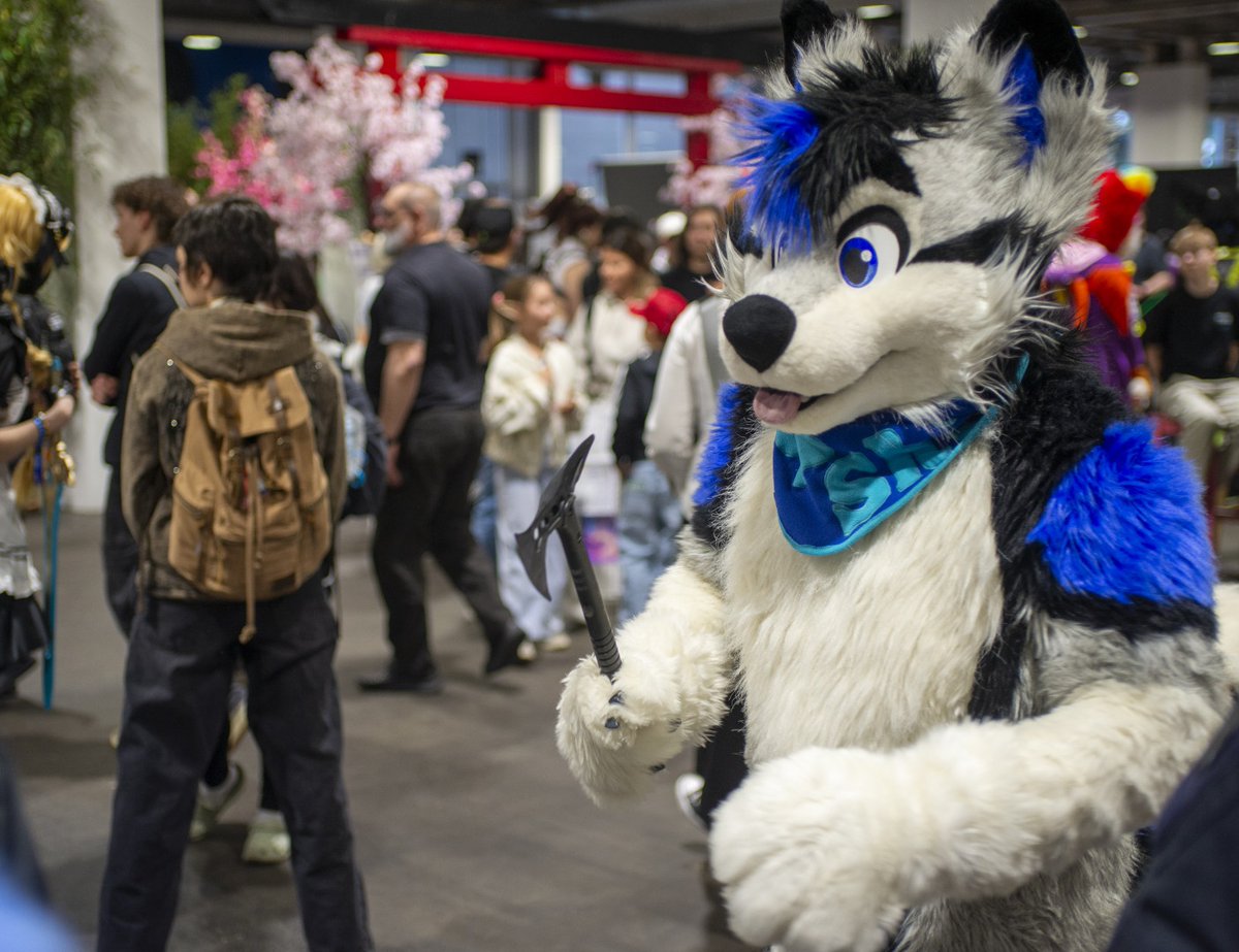 Shilo_husky's tweet photo. Me after hearing
"What animal are you?" All day..
πΈ: Crt
π: #FantasyBasel https://t.co/c6QT34p8WM