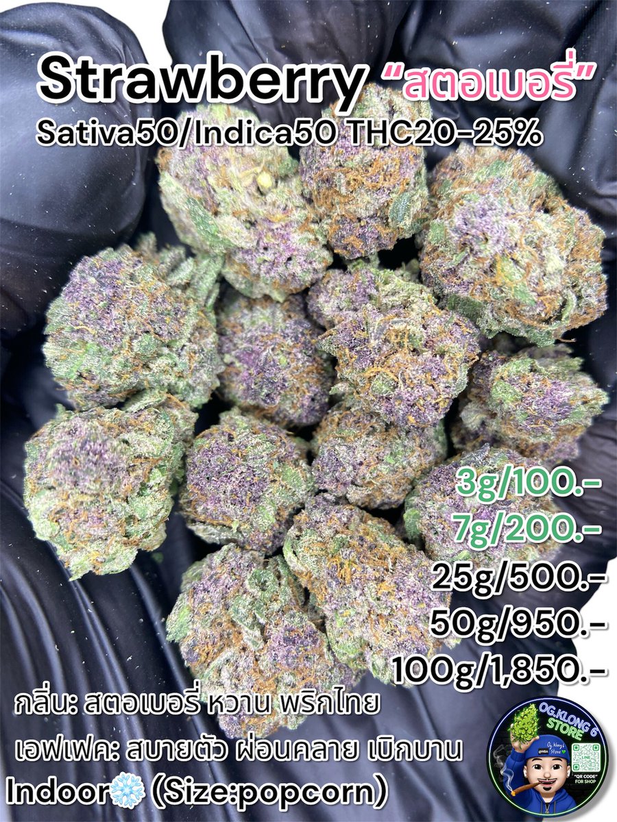 Bloccboii420's tweet photo. 🍓Strawberry
Sativa50/Indica50 THC20-25%
กลิ่น: สตอเบอรี่ หวาน พริกไทย

3g 100
7g 200
25g 500

📌พร้อมส่งค.6แถวม.ราชมงคลฟรี🛵
#ขายกัญชา #GACP #evap #Indoor #ใบทริม #กัญชาคลอง6 #กัญชาราคาปลีกส่ง #คลองหก #weed #รังสิต #กัญชา #เมืองเอก #ธรรมศาสตร์ https://t.co/3AkthEKPij