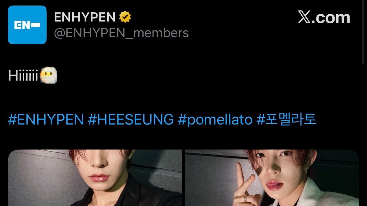 lia tweet media