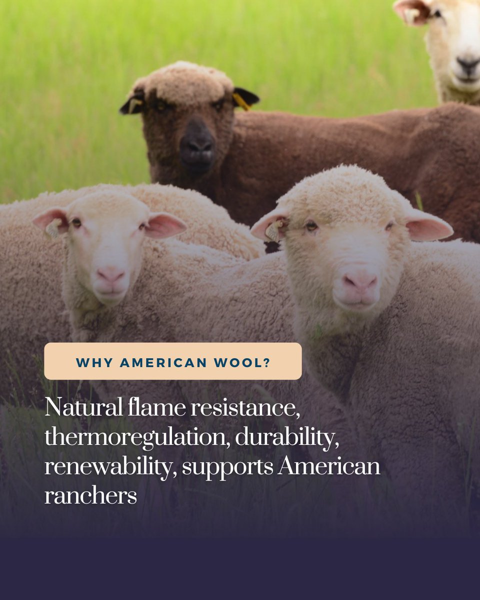 Experience Wool tweet media