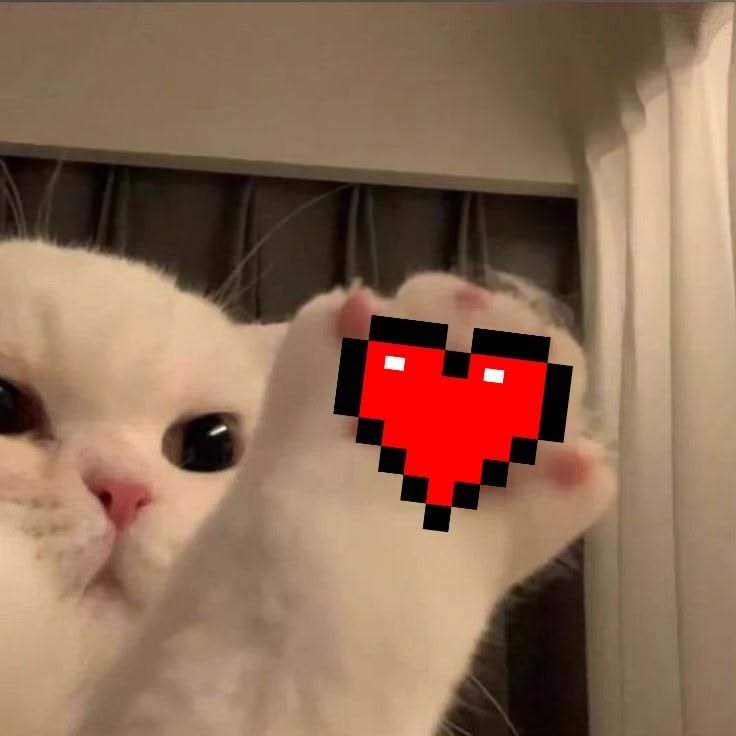 vizuuvi tweet media