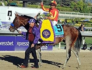 HORSERACING1002's tweet photo. SECRET CIRCLE🇺🇸2009
(EDDINGTON ▪︎ RAGTIME HOPE BY DIXIELAND BAND)
#SecretCircle
B/ Willmott Stables (Ky) April 13, 2009
O/ Pegram, Michael E. Watson, Karl & Weitman Paul
T/ Bob Baffert
KEESEP $17,000 RNA
OBSMAR $165,000
16-8-6-1--$3,670,790
Breeder's Cup Sprint G1, Rebel S G2, Breeder's Cup Juvenile Sprint, Southwest S G3, Jack Goodman S, Dubai Golden Shaheen G1.
2nd Breeder's Cup Sprint G1, Arkansas Derby G1, Cigar Mile G1, Palos Verdes S G2 (2), Sham S G3
3rd Santa Anita Sprint Championship G1,
Stood at Hill 'n' Dale Farms 🇺🇸, Elite Thoroughbreds,
Sired Jet Rocket, Everyoneloveslinda, Howbeit, Templar Red, Secret Rocket, McKague, Imapeppa, Ragtime Wine, Ellesbigseacret, Justwaveandsmile, Our Secret Agent, Secret Rules,