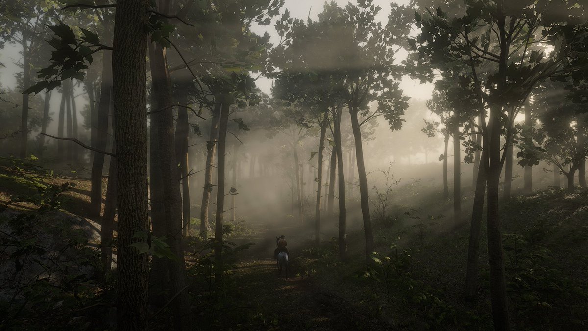Einfach_Annie's tweet photo. Red Dead Redemption 2   
-------------------------- https://t.co/KvkxWmy0hs