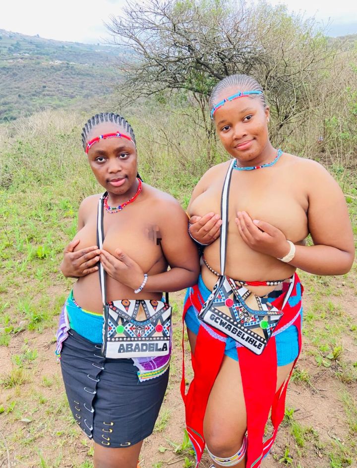 Zulu African Culture queens tweet media