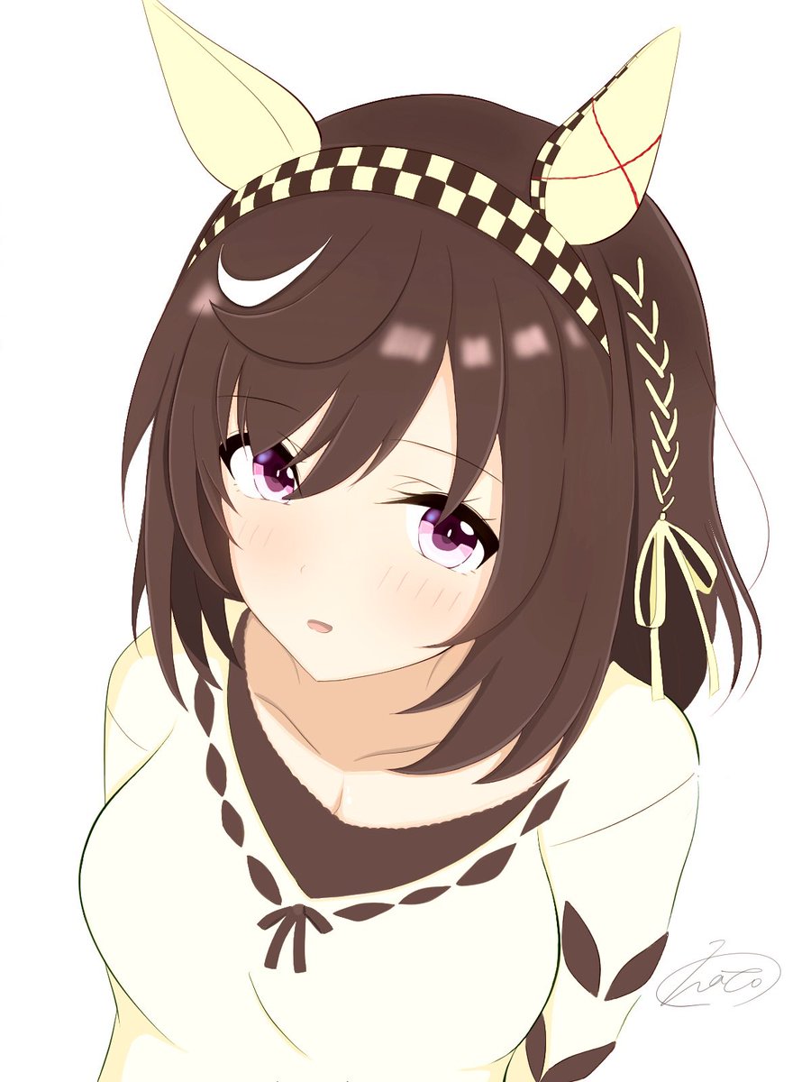 ハト tweet media