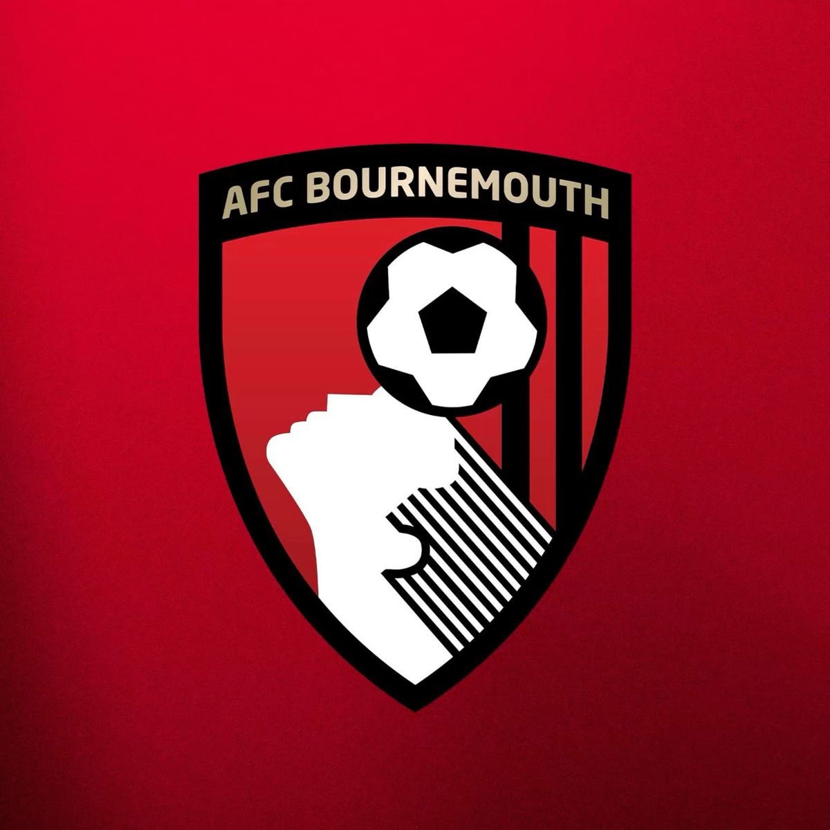 afc_ben10's tweet photo. 🚨andoni iraola on the european push and manchester city at home

🗣️ “we don’t look at title races, we don’t care who is fighting for what. our focus is bournemouth. every game is important at this stage, especially at home. against city, we focus on our performance, staying disciplined, and playing with confidence. if we want european football nights we have to earn it ourselves.
