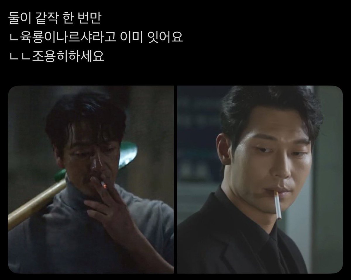 녤 tweet media