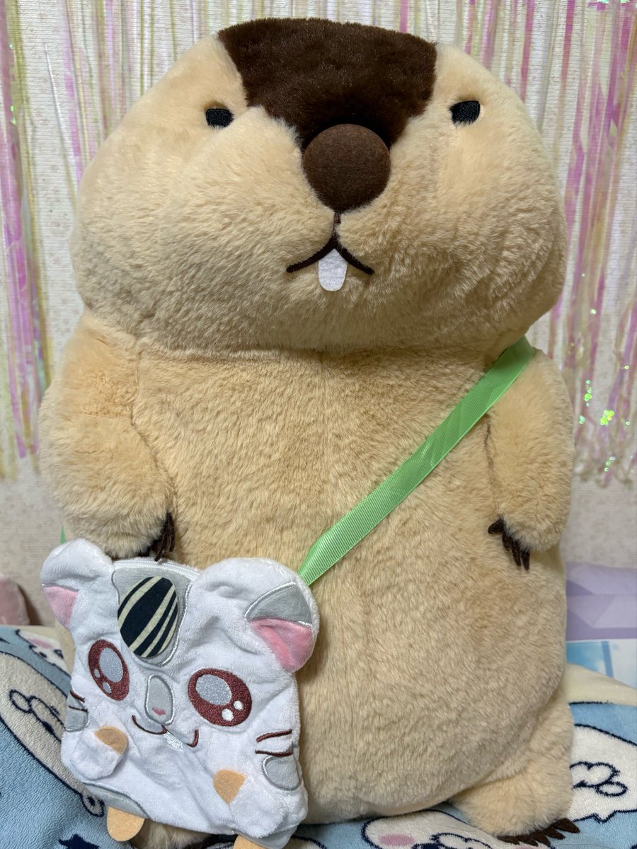 かなた🐼5/9BDｲﾍﾞ tweet media
