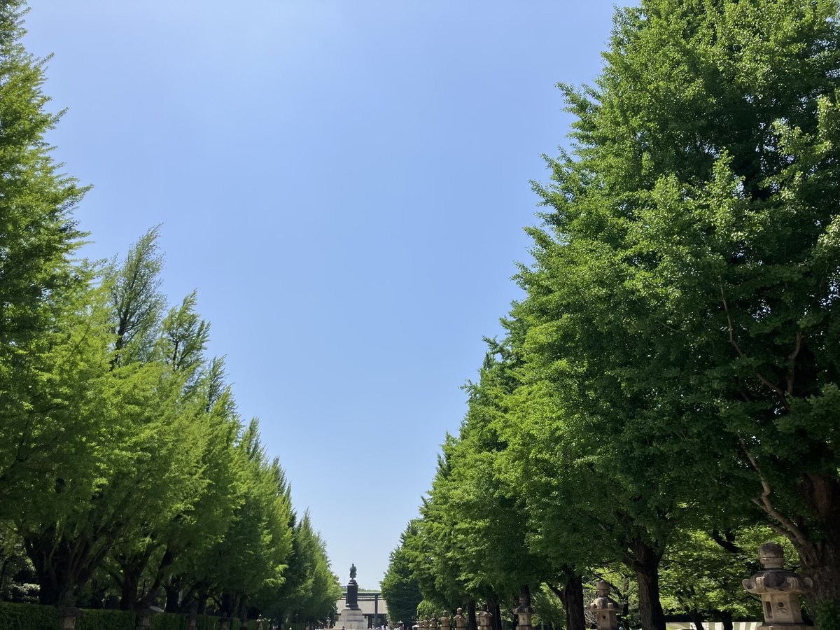 jam_ej's tweet photo. あと初めて靖国神社と武道館前まで行ってきた⛩️もう夏だな〜 https://t.co/Y19hEt0lv0