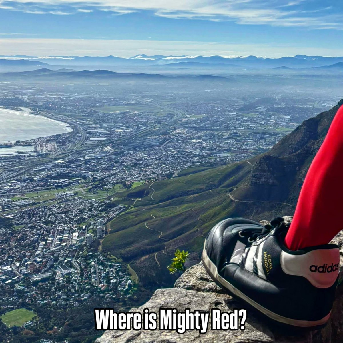 Mighty Red tweet media