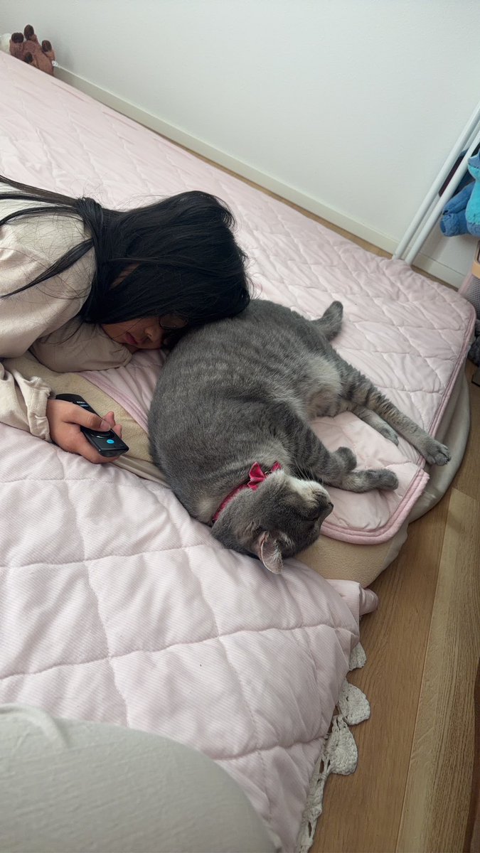anzu090211's tweet photo. Musashiの血液検査と尿検査異常なしだったー

環境の変化とかでストレスか
3階がトイレがしんどくなってるもあるかもって

ひとまず2階は設置場所ないから
リビングにトイレ設置するために娘とおもちゃなどを整理整頓

設置完了✅ https://t.co/2j2OKJITVx