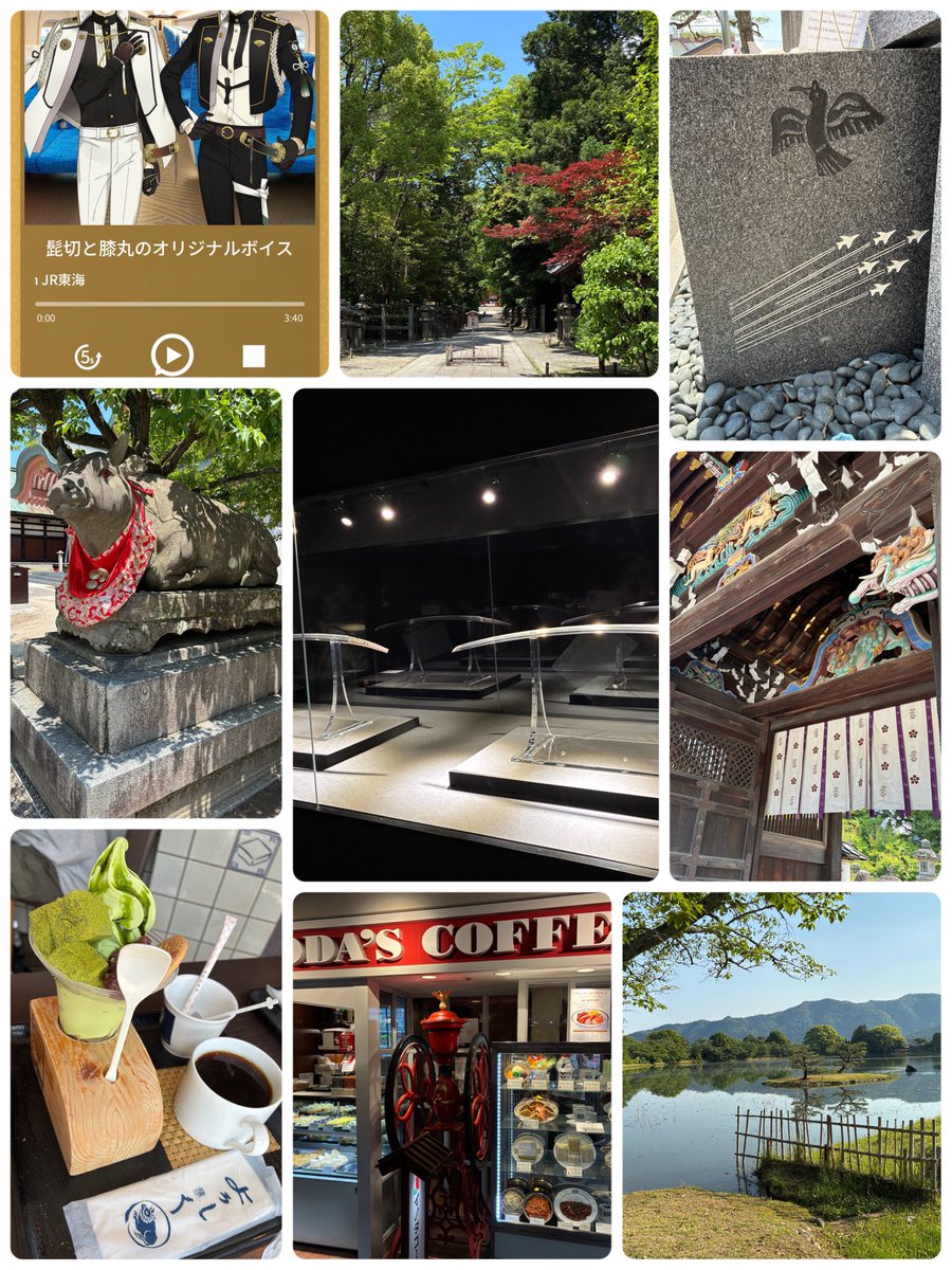 uma860's tweet photo. こないだの金土と京都に髭・膝の旅に行ってきました　金)石清水八幡宮(春日神社・相槌神社、飛行神社)→京博　土)北野天満宮→大覚寺
北野天満宮の青もみじ苑、街中なのに苑に入った途端に山の中になるの訳がわからない　異世界の美しさ https://t.co/C4vBoQRFPi