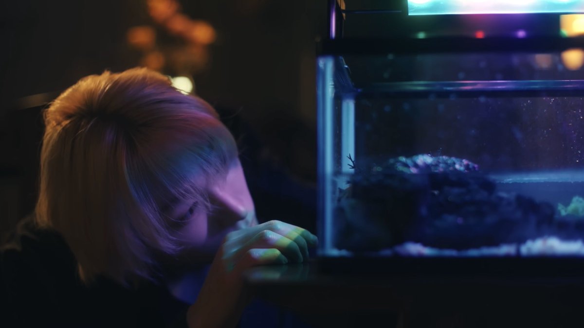 kkurowonie's tweet photo. some of the prettiest scenes in finding home film essay https://t.co/KjUMVlX3On