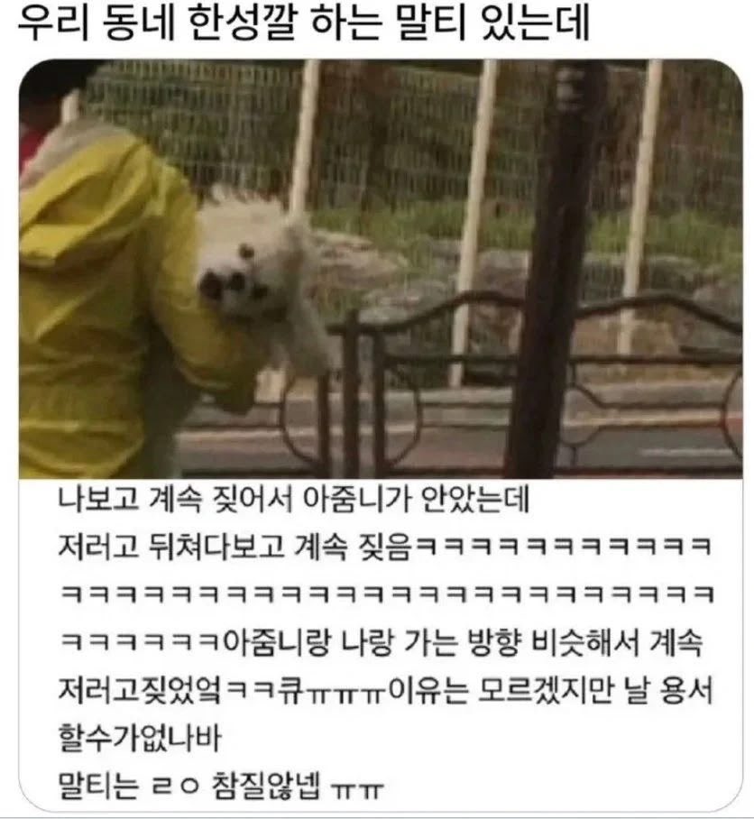 챱 tweet media