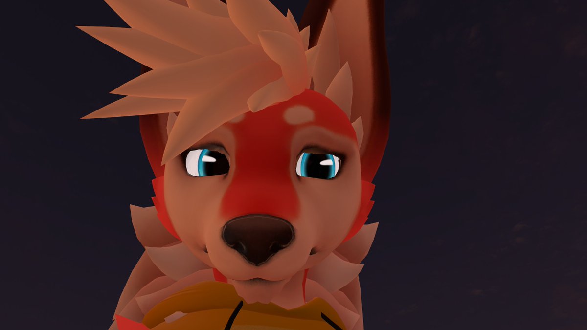 Cobold 🦊 🇨🇦 tweet media