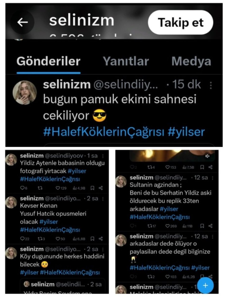 . tweet media