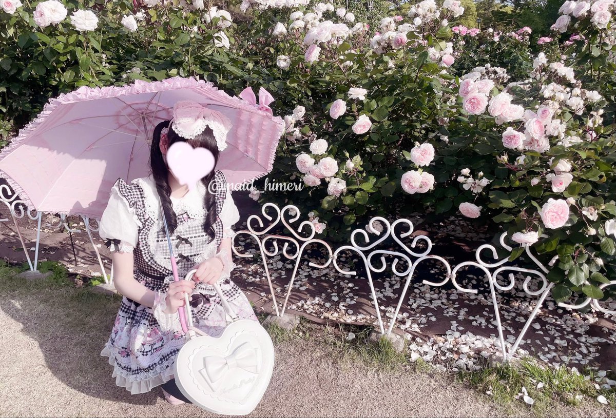 ひめり🎀 ᩚ tweet media
